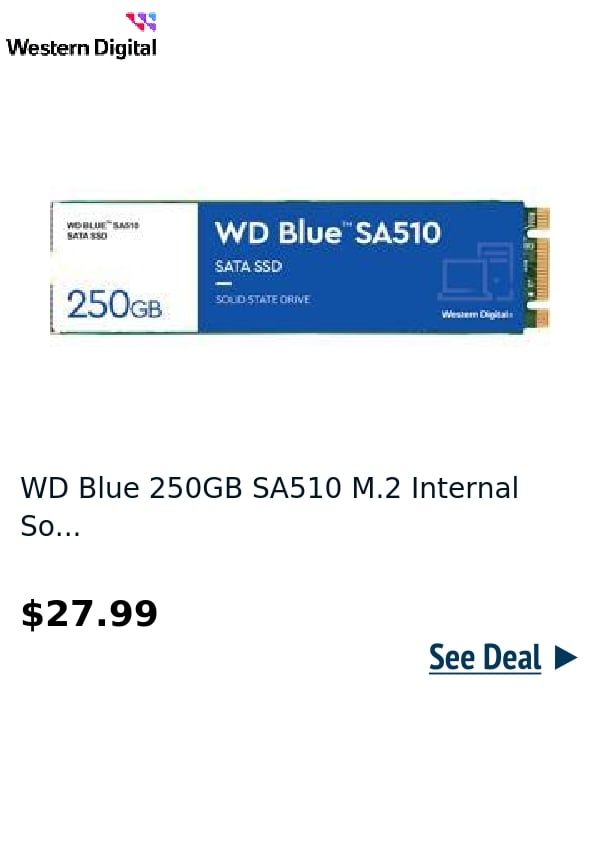 WD Blue 250GB SA510 M.2 Internal So...