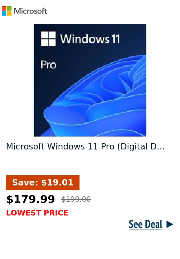 Microsoft Windows 11 Pro (Digital D...