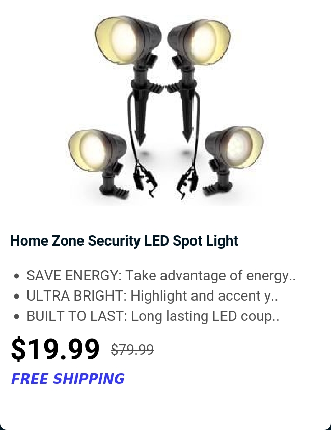 Home Zone Security LED Spot Light 