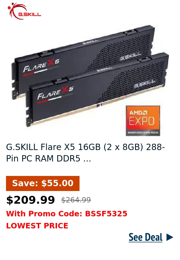 G.SKILL Flare X5 16GB (2 x 8GB) 288-Pin PC RAM DDR5 ...
